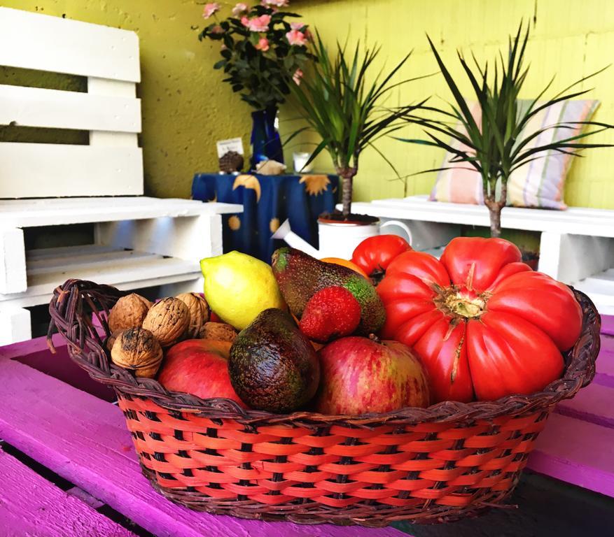La Galayca Apartment El Barcenal ภายนอก รูปภาพ